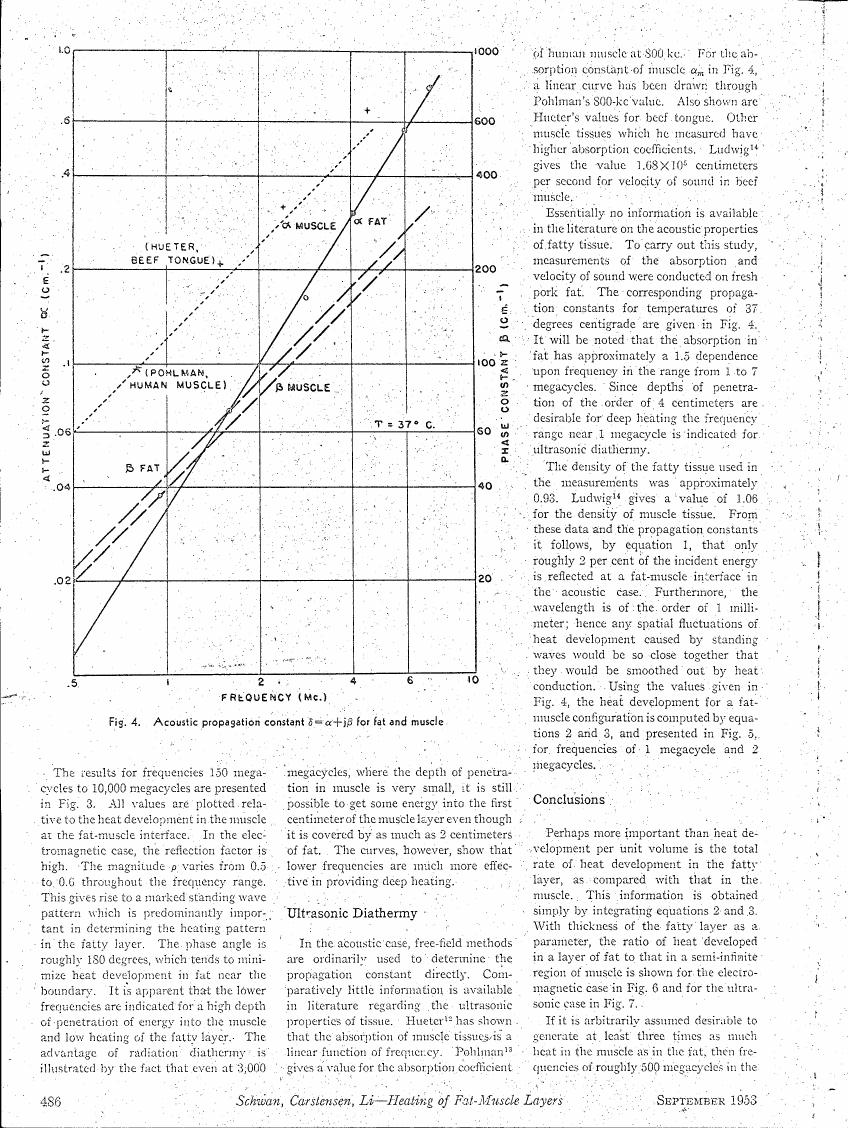 Fig. 4. Acoustic propagation constant β = α + jβ for fat and muscle
