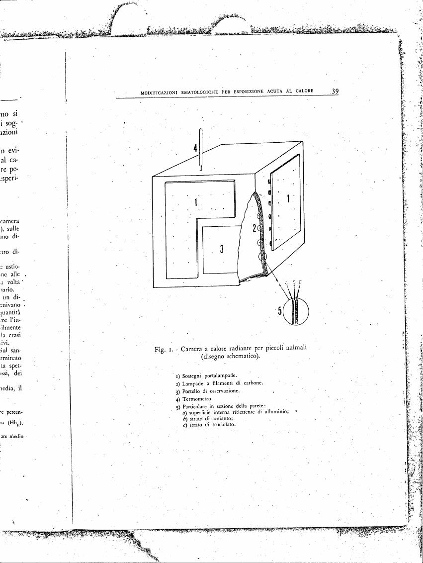 Fig. 1 - Schematic diagram of a radiant heat chamber for small animals
