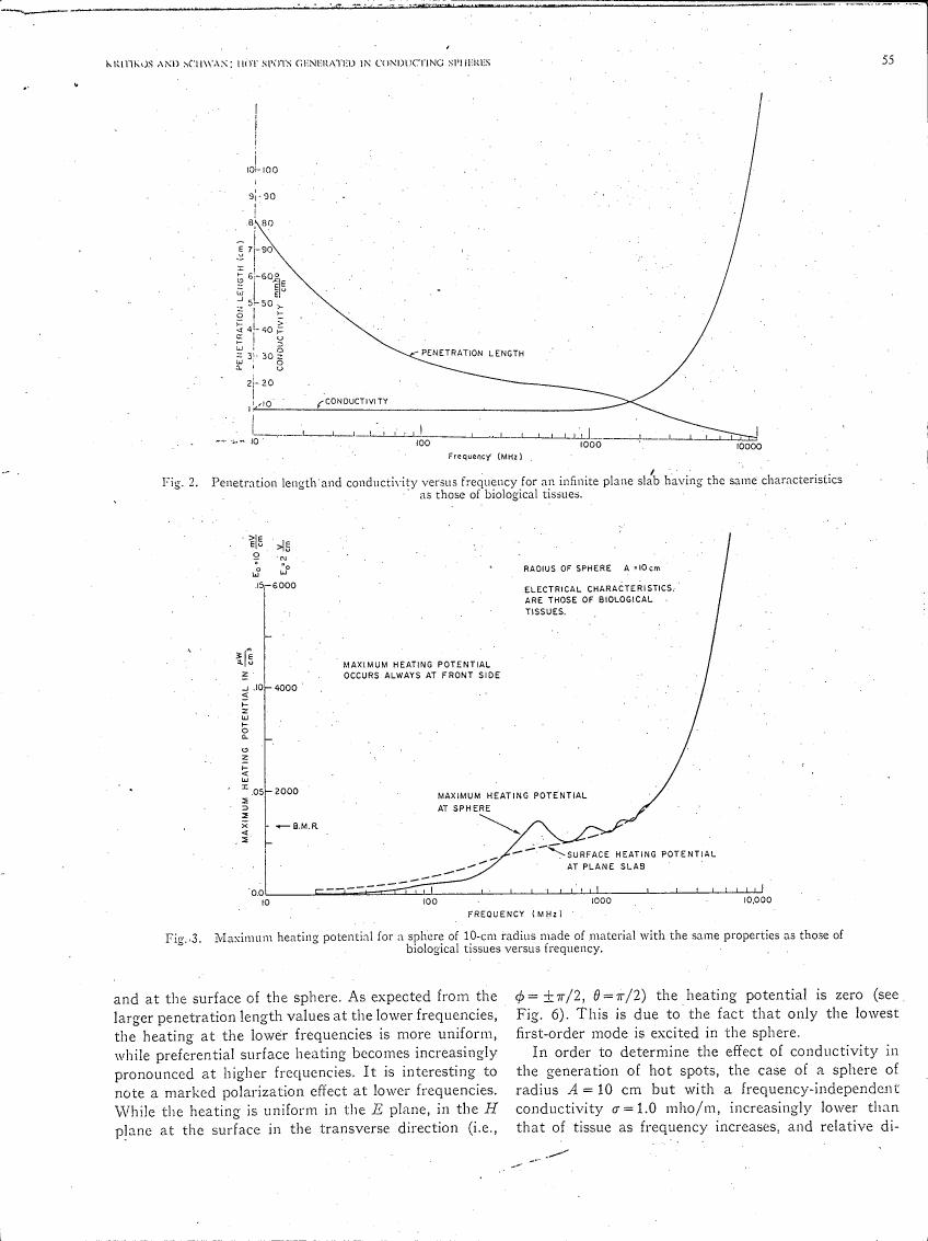 Fig. 2: Penetration length and conductivity versus frequency for an infinite plane slab having the same characteristics as those of biological tissues.