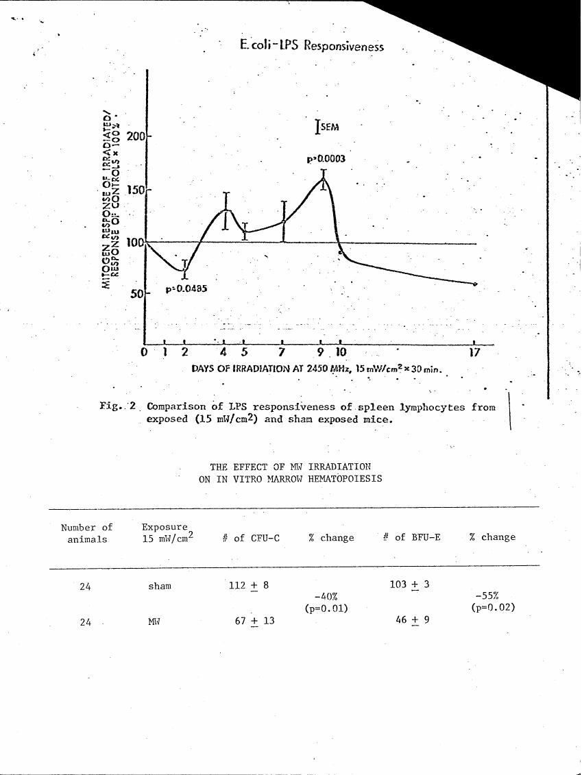 Figure 2: Comparison of LPS responsiveness of spleen lymphocytes from exposed (1.5 mW/cm²) and sham-exposed mice.
