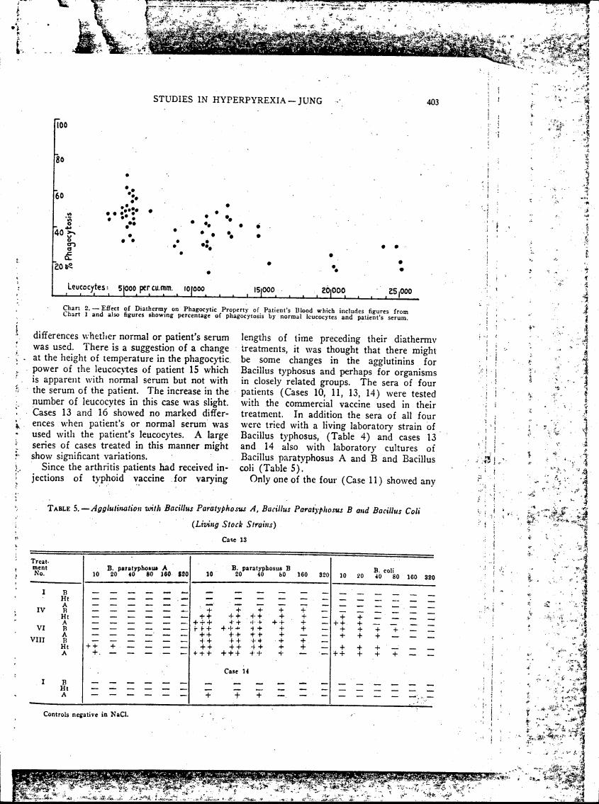 AI-described figure: Chart showing the effect of diathermy on phagocytic property of patient's blood with percentages and leukocyte counts.