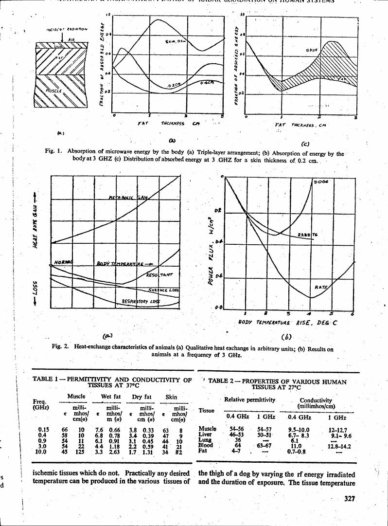 AI-described figure: Fig. 1 illustrates absorption of microwave energy by the body at different frequencies and fat thicknesses.