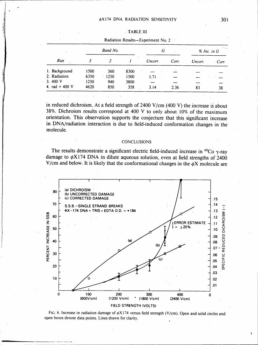 Figure 6. Increase in radiation damage of φX174 versus field strength (V/cm). Open and solid circles and open boxes denote data points. Lines drawn for clarity.