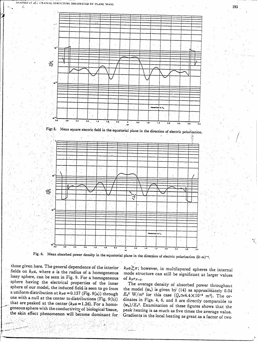Fig. 5: Mean square electric field in the equatorial plane in the direction of electric polarization.