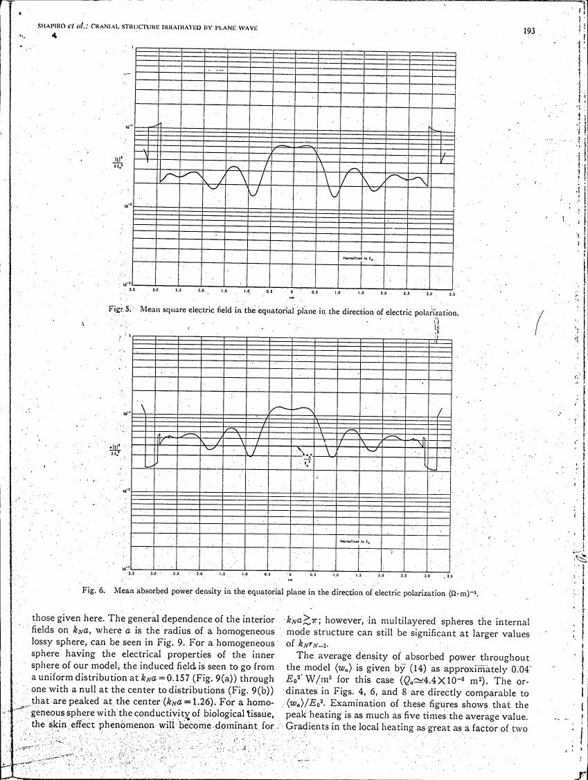 Fig. 5: Mean square electric field in the equatorial plane in the direction of electric polarization.
