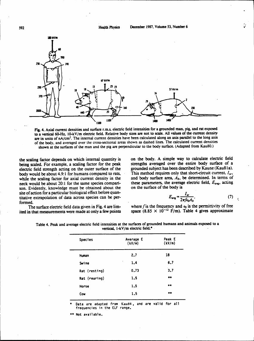 Figure 4. Axial current densities and surface r.m.s. electric field intensities for a grounded man, pig, and rat exposed to a vertical 60-Hz, 10-kV/m electric field.