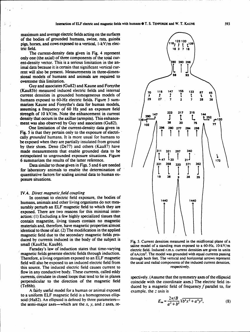 Figure 5. Current densities measured in the midfrontal plane of a saline model of a standing man exposed to a 60-Hz, 10-kV/m electric field.