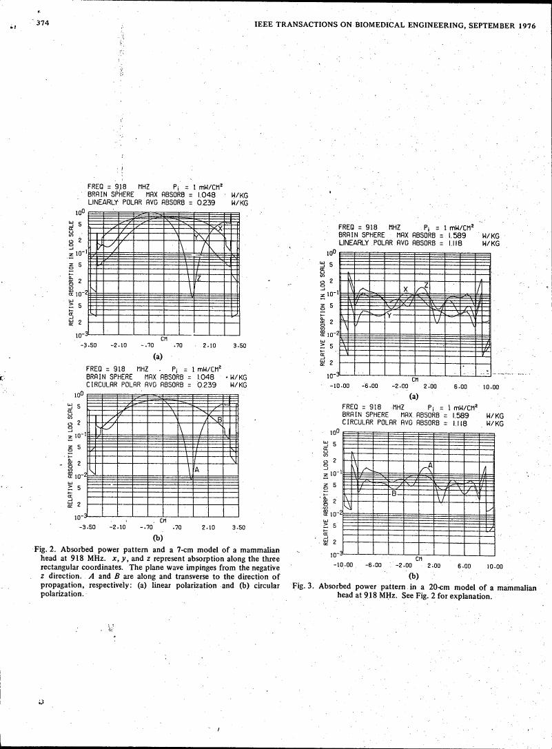 Figures showing absorbed power patterns in mammalian head models at 918 MHz with linear and circular polarization.