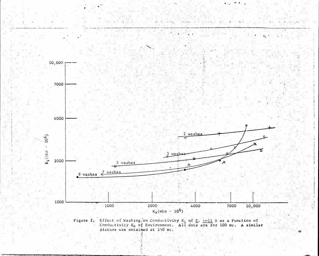 Figure 2. Effect of Washing on Conductivity K1 of E. coli B as a Function of Conductivity Ka of Environment.