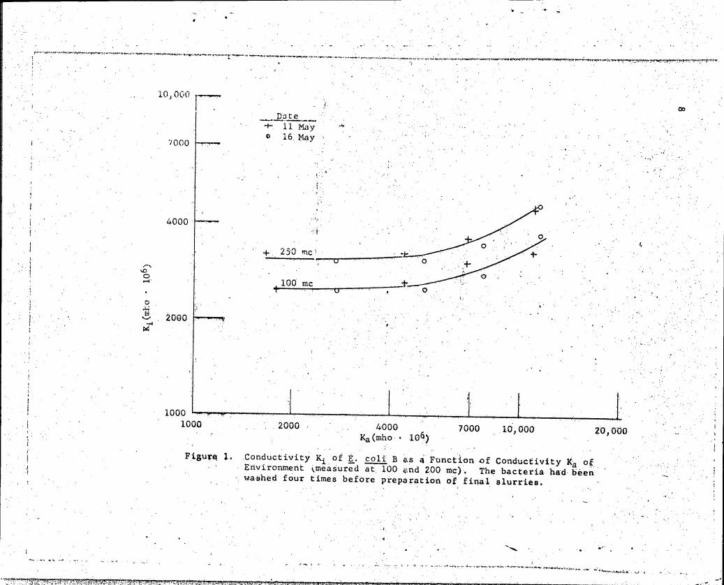 Figure 1. Conductivity K1 of E. coli B as a Function of Conductivity Ka of Environment (measured at 100 and 200 mc). The bacteria had been washed four times before preparation of final slurries.