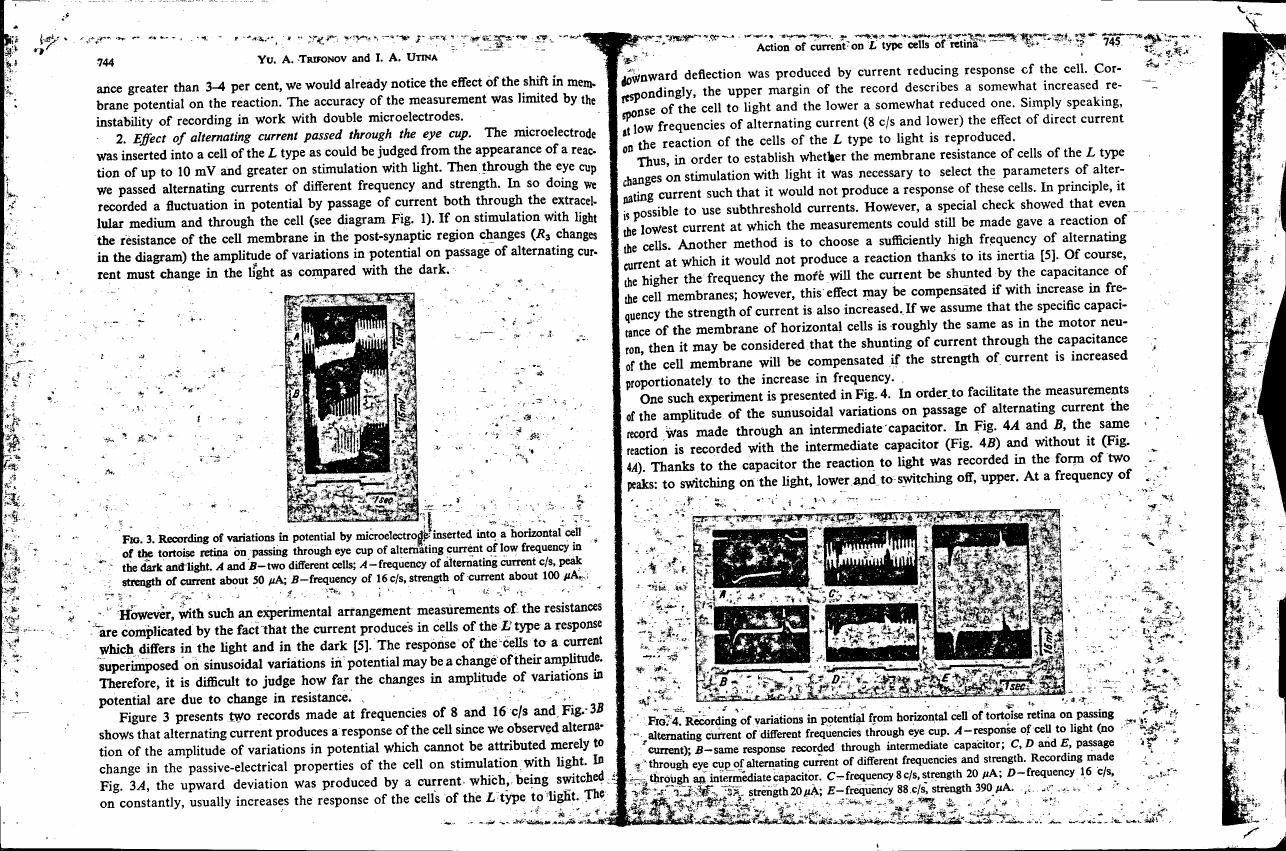 Figure 3: Recording of variations in potential by microelectrode inserted into a horizontal cell of the tortoise retina on passing through eye cup of alternating current of low frequency in the dark and light.