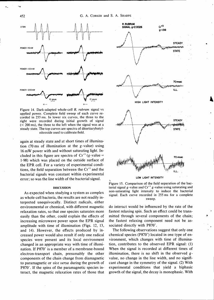 Figure 14. Dark-adapted whole-cell R. rubrum signal vs applied power. Complete field sweep of each curve recorded in 253 ms.