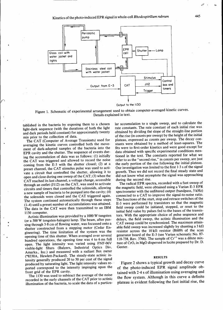 Figure 1. Schematic of experimental arrangement used to obtain computer-averaged kinetic curves.