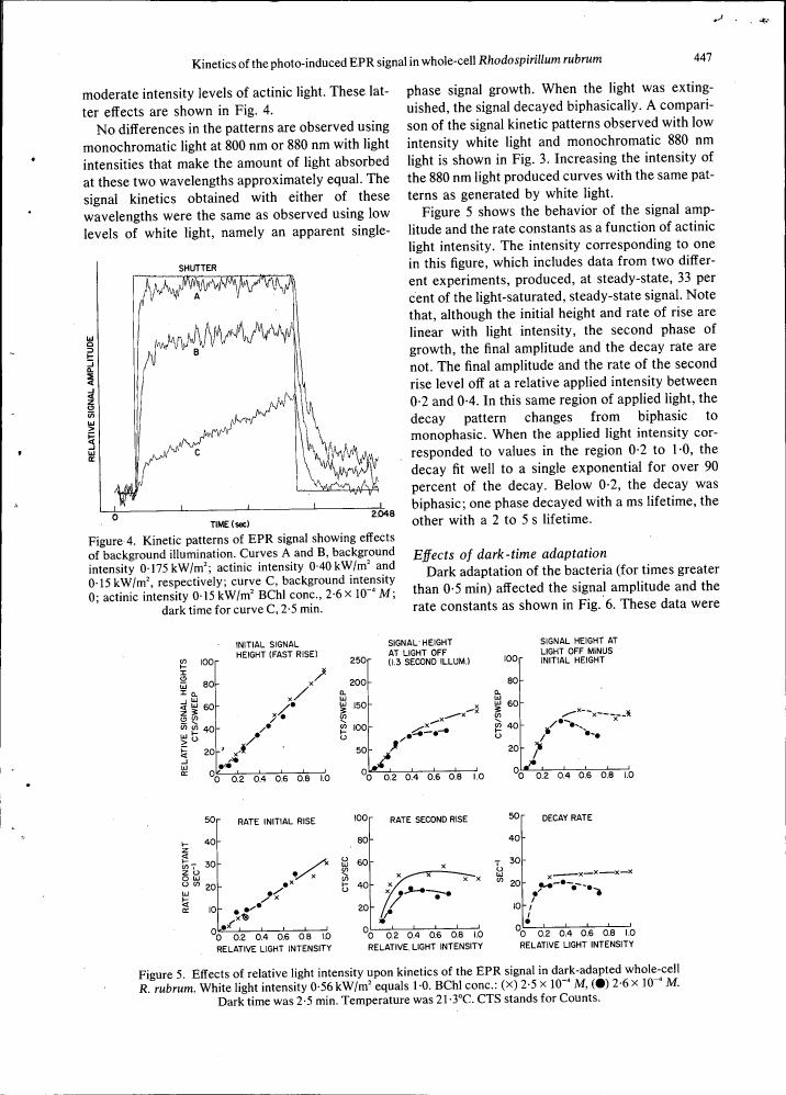 Figure 4. Kinetic patterns of EPR signal showing effects of background illumination.