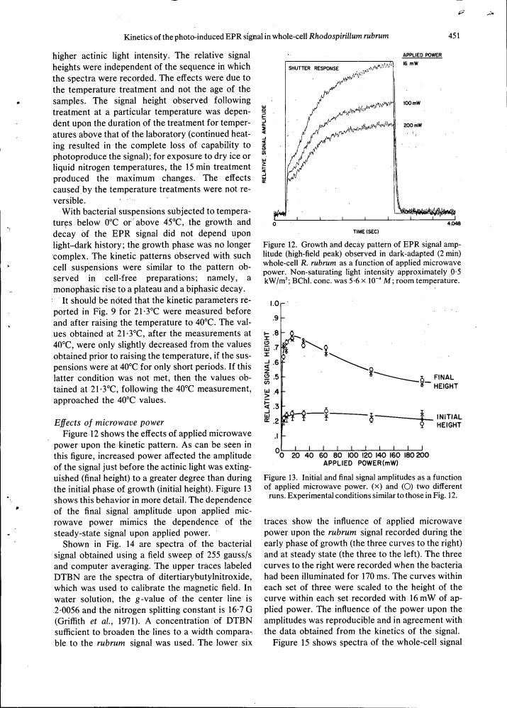Figure 12. Growth and decay pattern of EPR signal amplitude (high-field peak) observed in dark-adapted (2 min) whole-cell R. rubrum as a function of applied microwave power.
