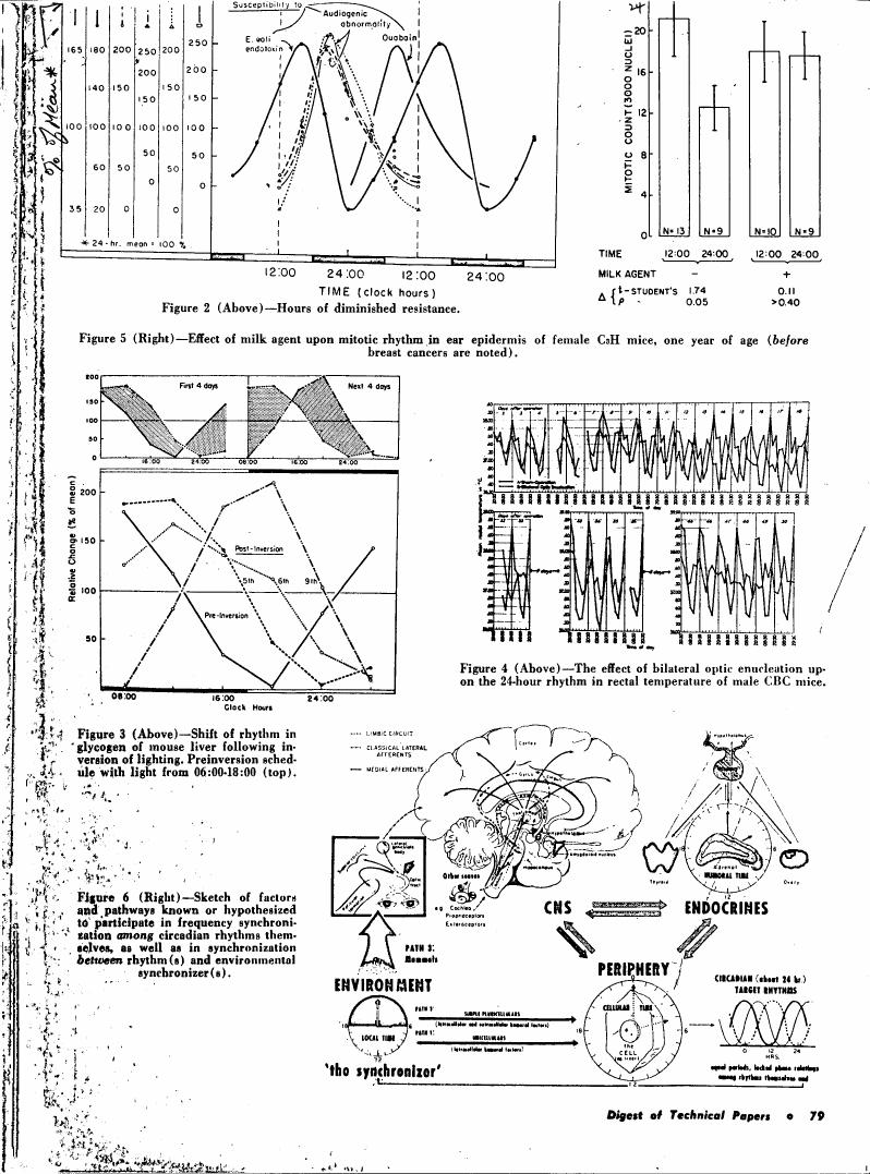 AI-described figure: Figure 2 illustrates a pattern of diminished resistance over time in hours.