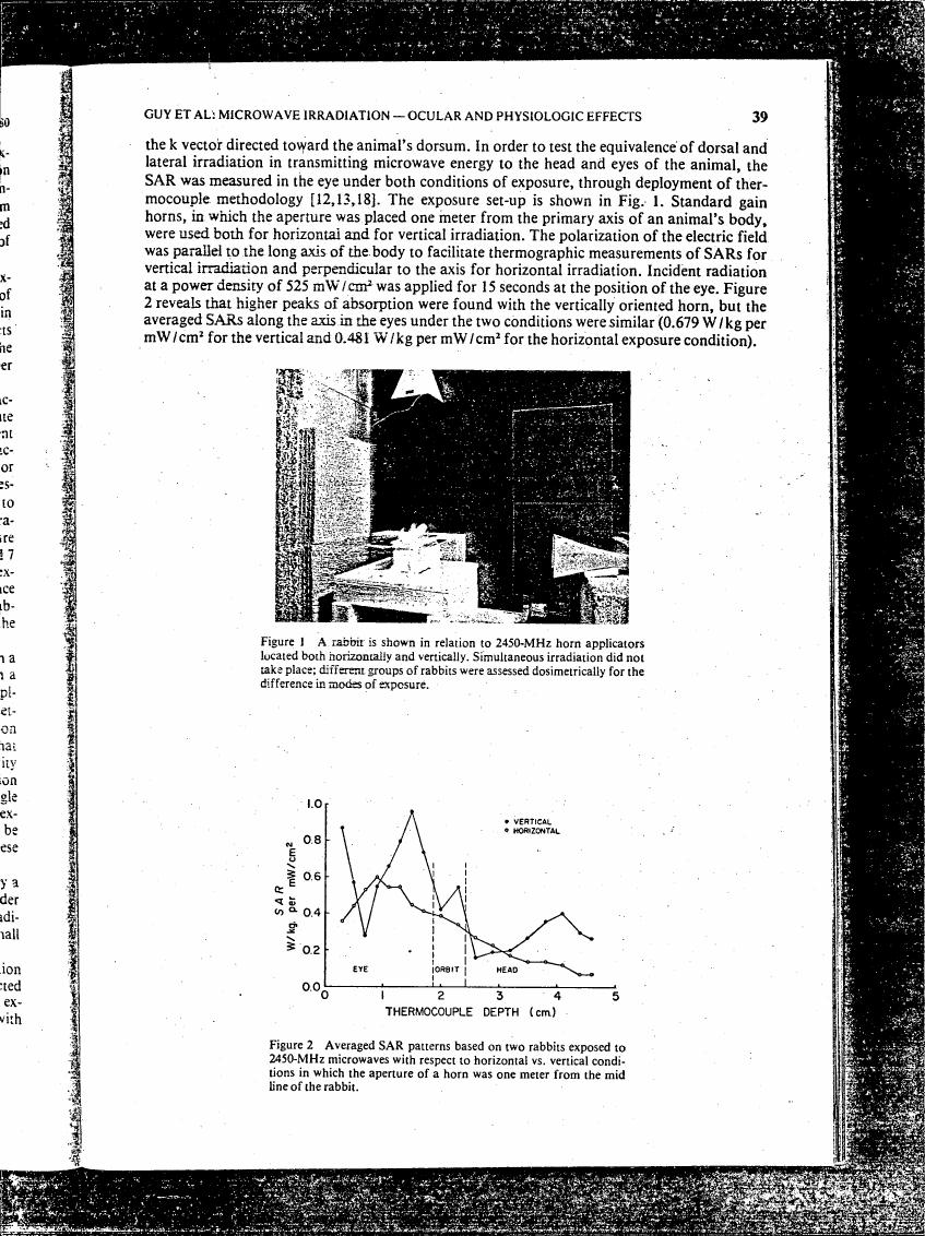 AI-described figure: A chart showing averaged SAR patterns based on two rabbits exposed to 2450-MHz microwaves with respect to horizontal vs. vertical conditions.