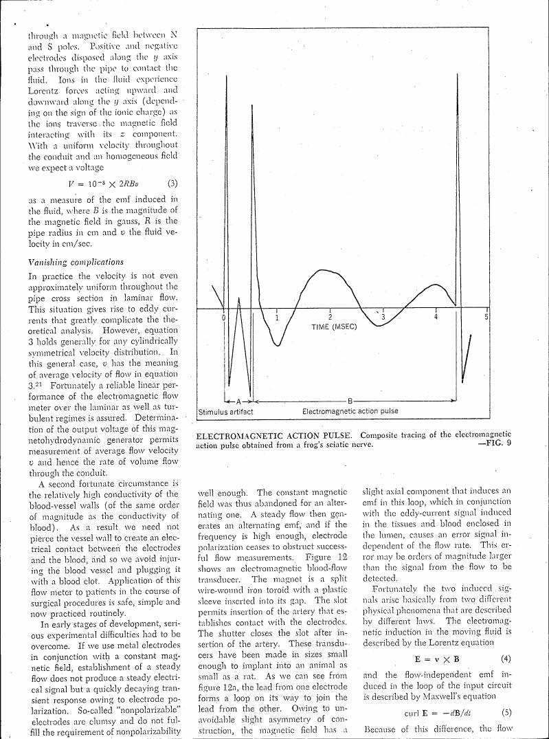 A graph showing an electromagnetic action pulse obtained from a frog's sciatic nerve.
