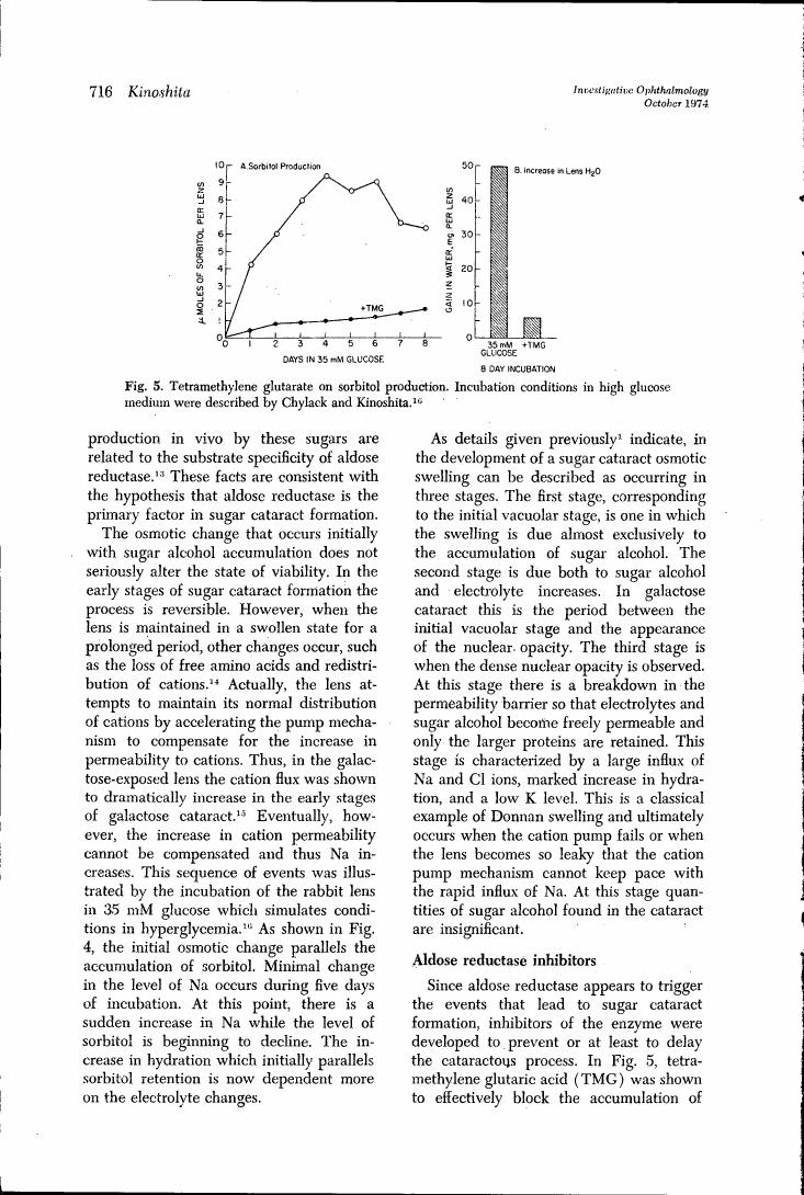 Figure 5. Tetramethylene glutarate on sorbitol production. Incubation conditions in high glucose medium were described by Chylack and Kinoshita.