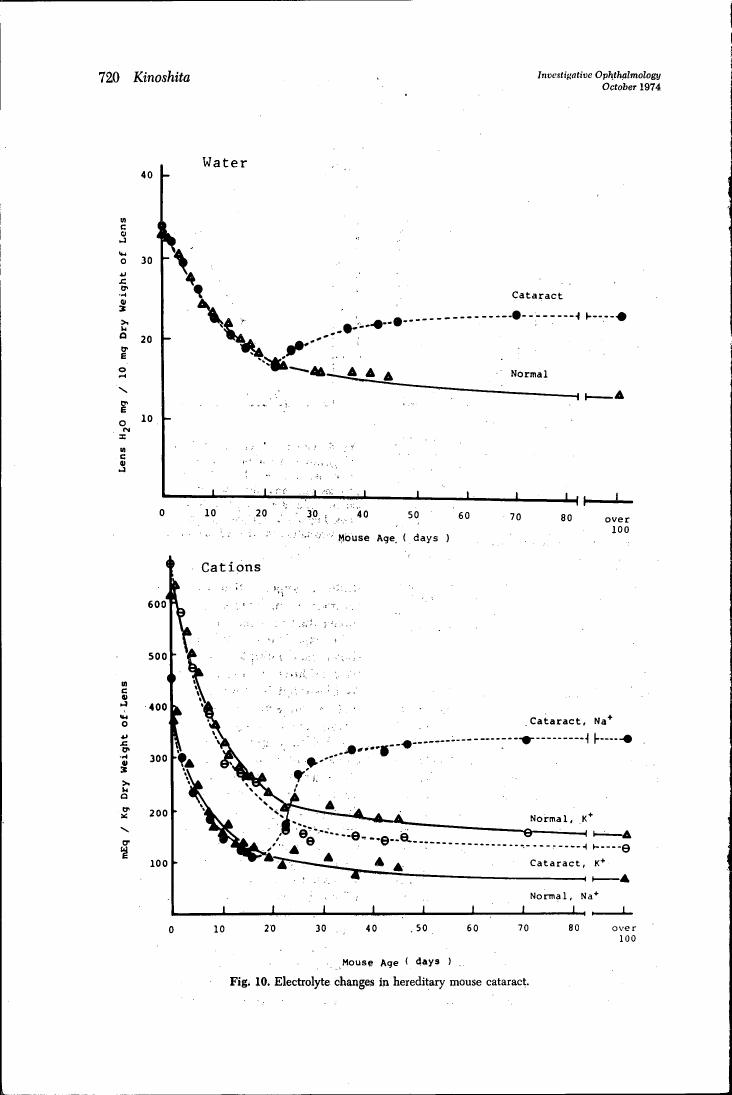 Figure 10. Electrolyte changes in hereditary mouse cataract.