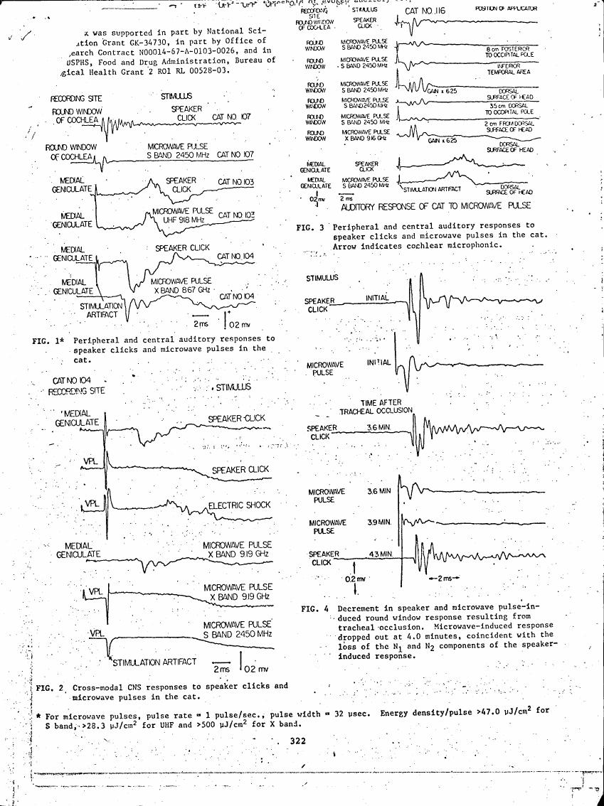 Peripheral and central auditory responses to speaker clicks and microwave pulses in the cat. Arrow indicates cochlear microphonic.