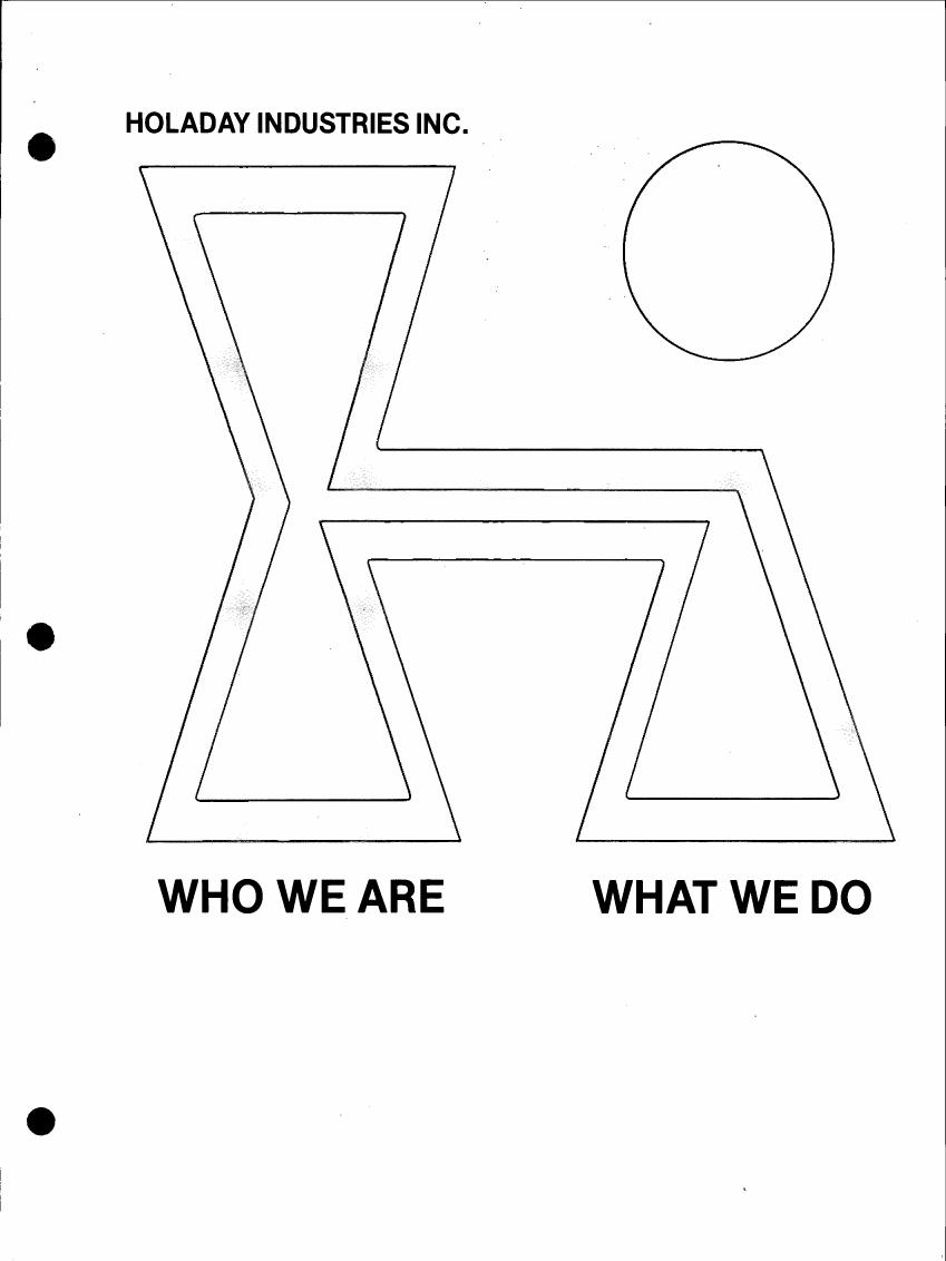 AI-described figure: A diagram representing 'Who We Are' and 'What We Do' for Holaday Industries Inc., with geometric shapes.