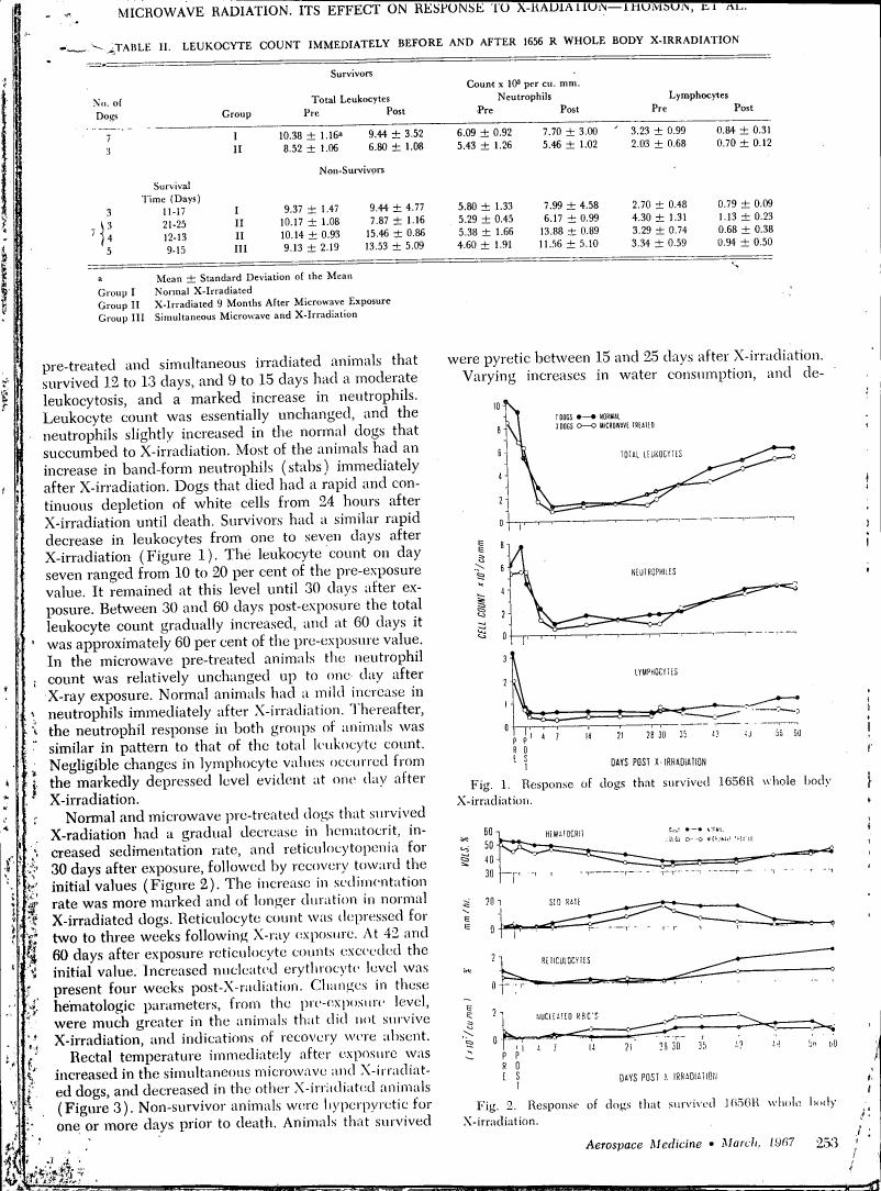 Response of dogs that survived 1656R whole body X-irradiation.