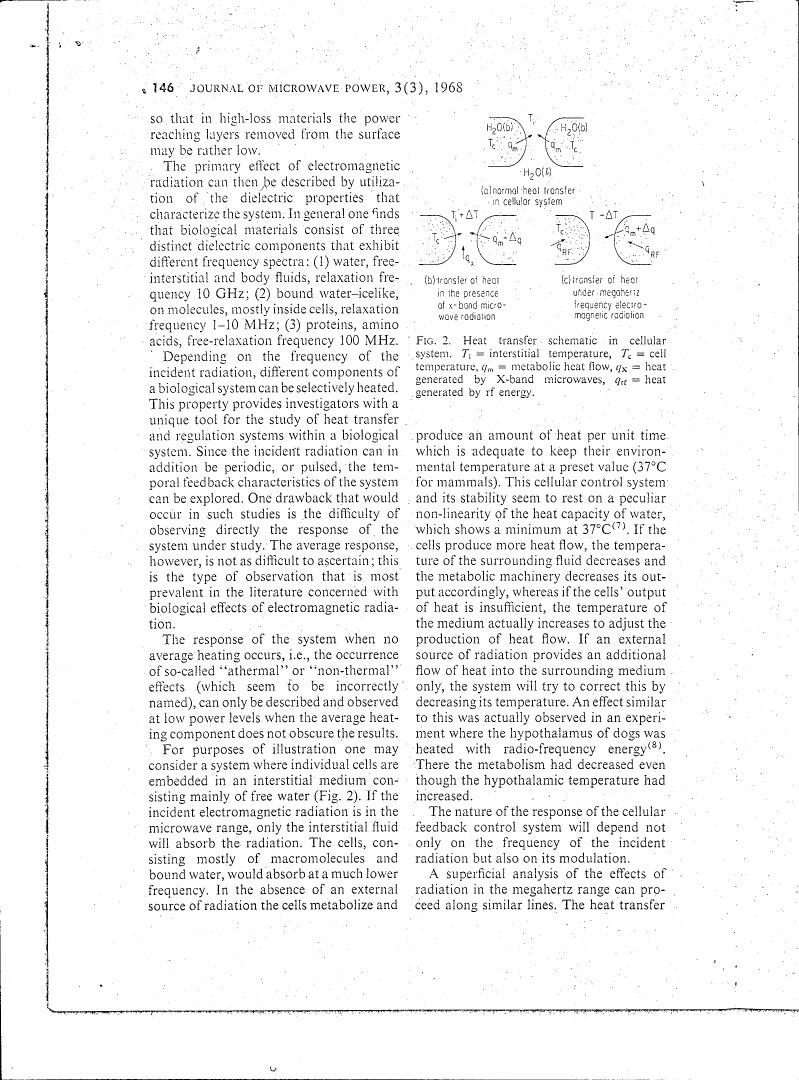 AI-described figure: Heat transfer schematic in a cellular system showing temperature and heat flow under microwave radiation.