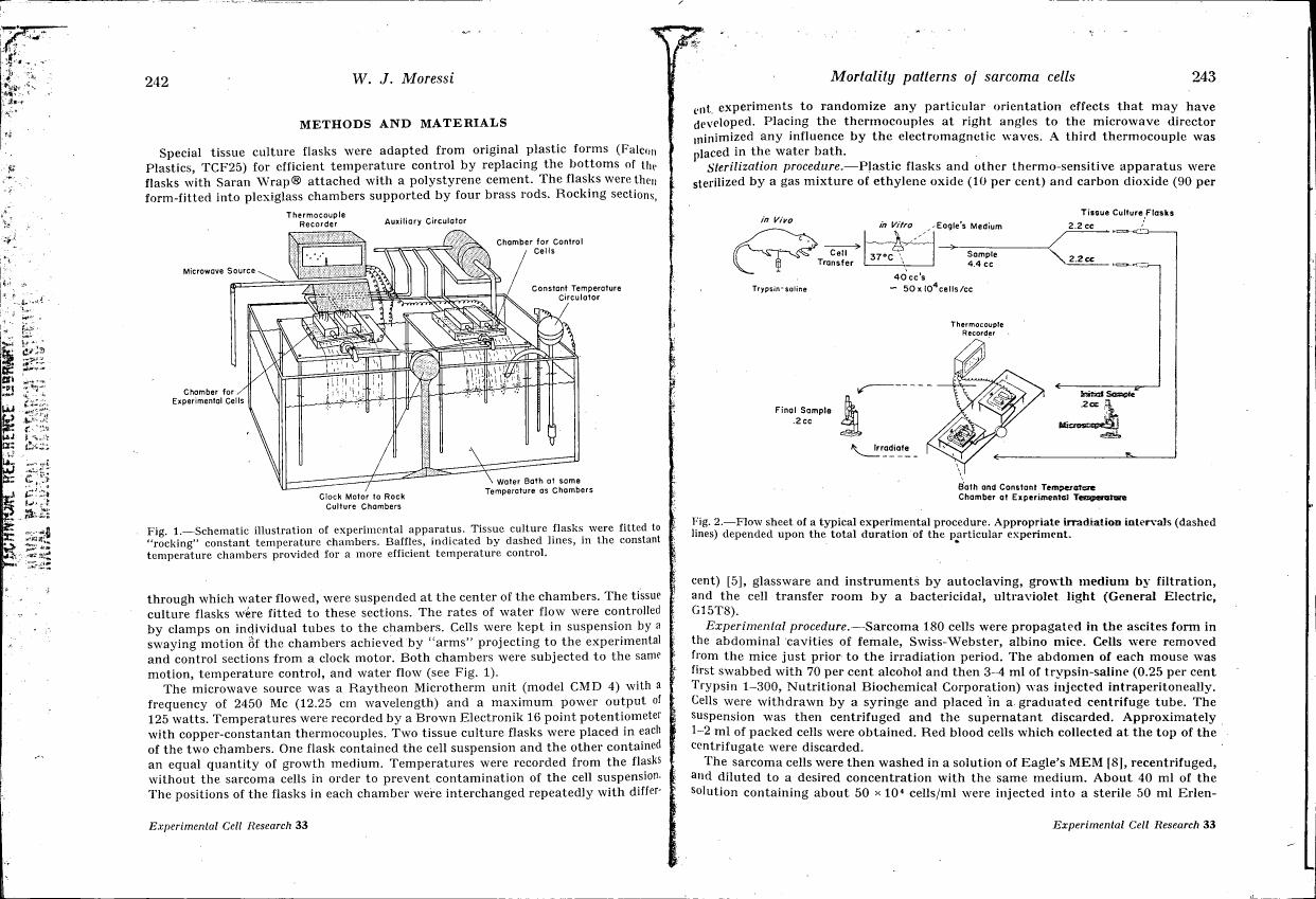 AI-described figure: Fig. 1: Schematic illustration of experimental apparatus showing tissue culture flasks fitted to 'rocking' constant temperature chambers.