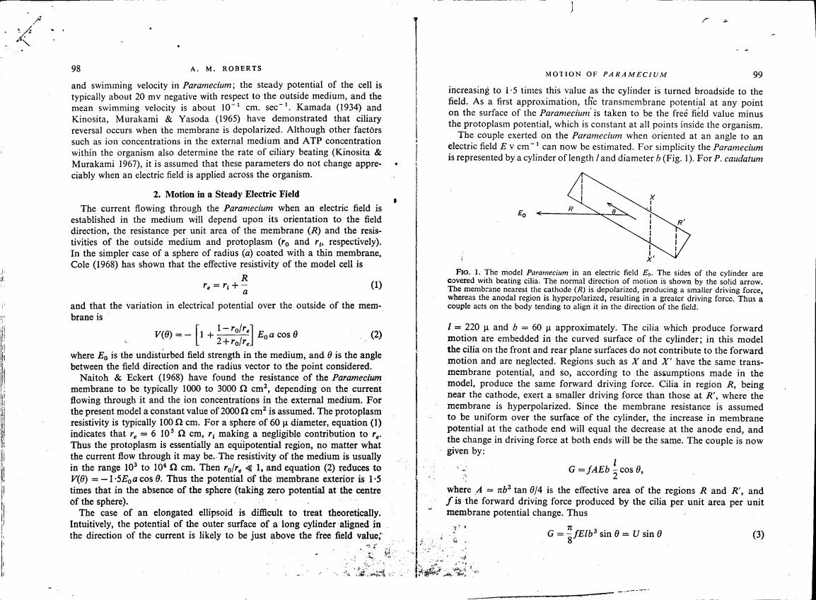 AI-described figure: Figure 1 illustrates a model Paramecium in an electric field E0, showing how cilia on different parts of the cylinder contribute to forward motion.