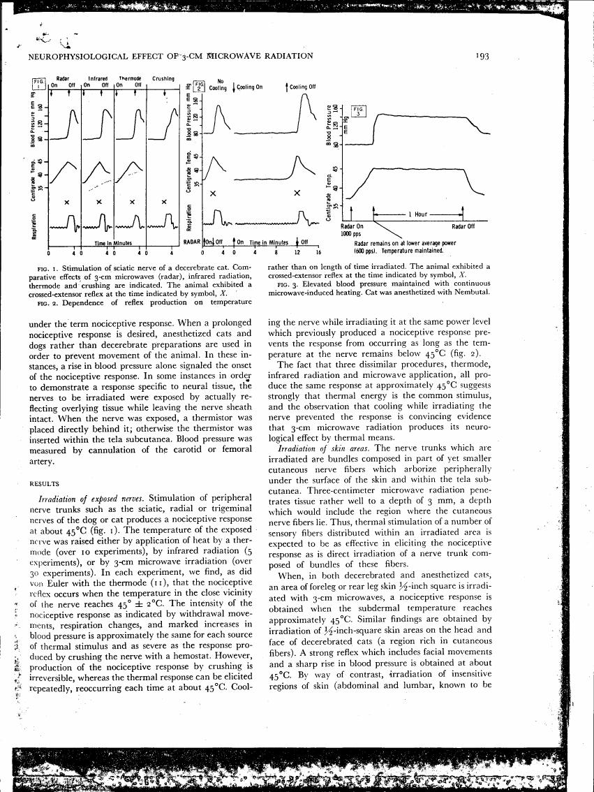 Fig. 1: Stimulation of sciatic nerve of a decerebrate cat showing comparative effects of microwave radiation and other stimuli.