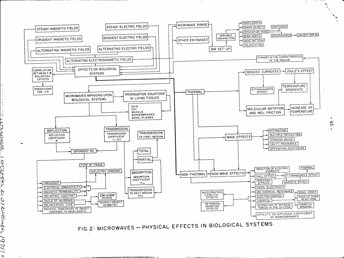 Figure 2: Microwaves - Physical Effects in Biological Systems