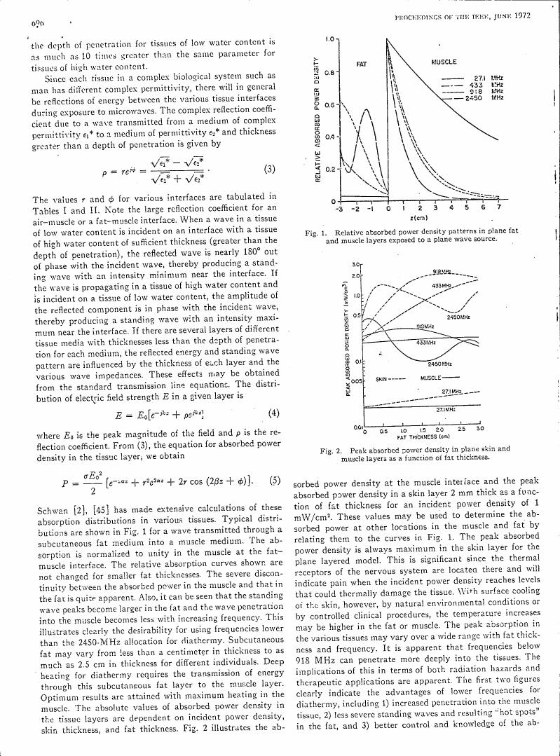 Fig. 1: Relative absorbed power density patterns in plane fat and muscle layers exposed to a plane wave source.