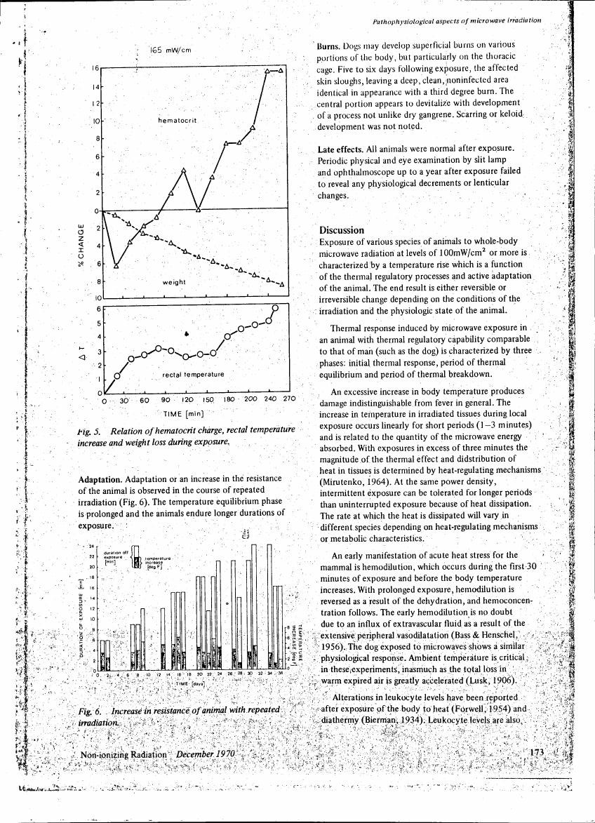 Fig. 5. Relation of hematocrit change, rectal temperature increase and weight loss during exposure.