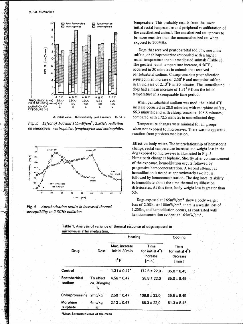 Fig. 3. Effect of 100 and 165mW/cm², 2.8GHz radiation on leukocytes, neutrophiles, lymphocytes and eosinophiles.