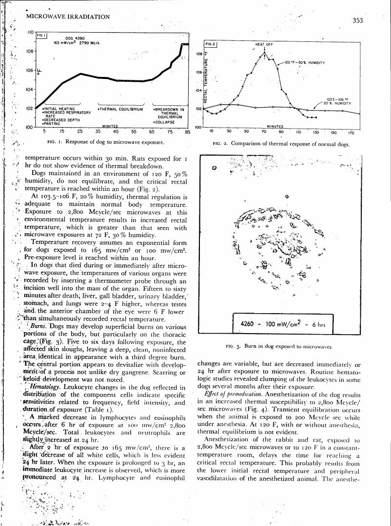 Figure 1. Response of dog to microwave exposure.