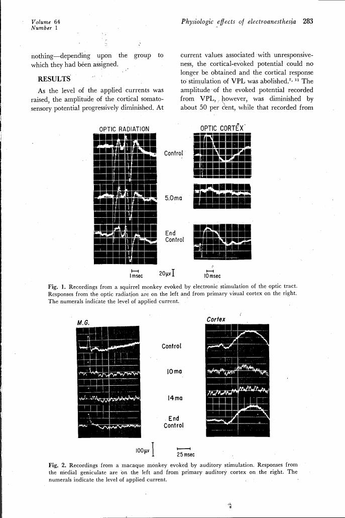 Fig. 1: Recordings from a squirrel monkey evoked by electronic stimulation of the optic tract.