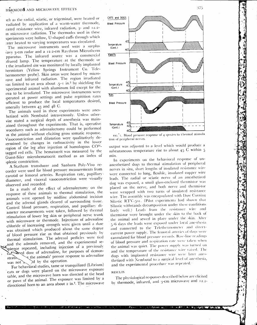Blood pressure response of four species to thermal stimulation of peripheral nerves (Figure 1)