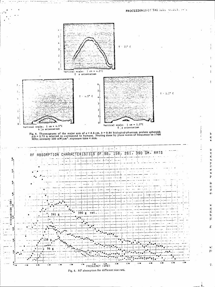AI-described figure: Fig. 5: RF absorption for different size rats.