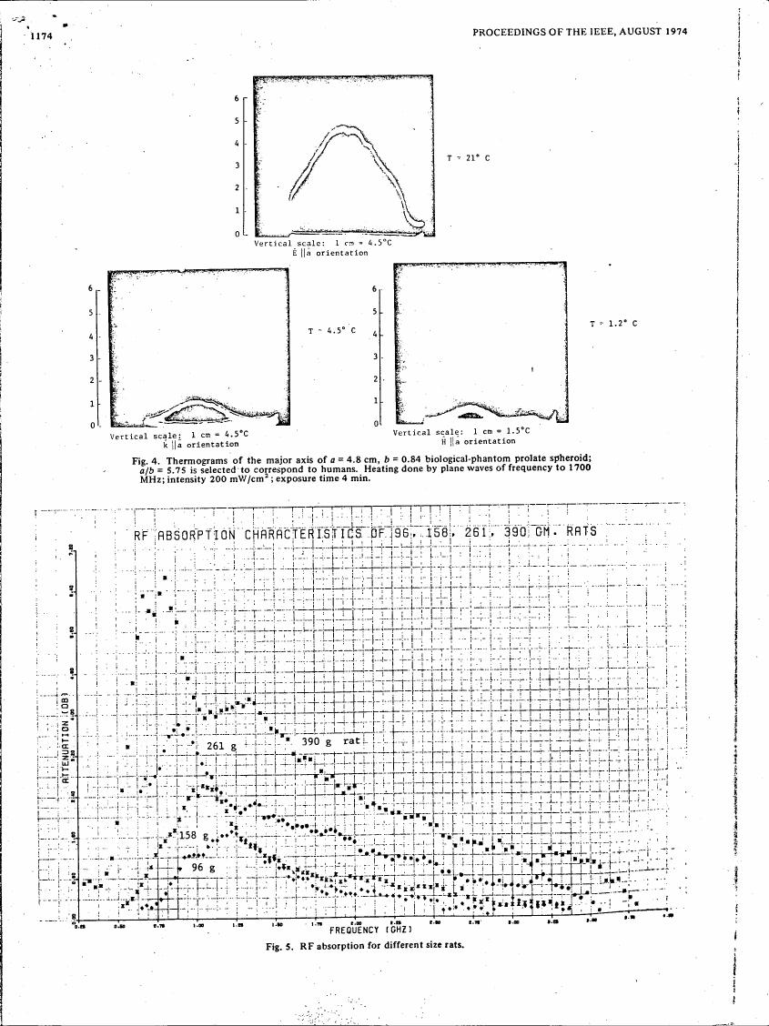 AI-described figure: Fig. 5: RF absorption characteristics for different size rats.
