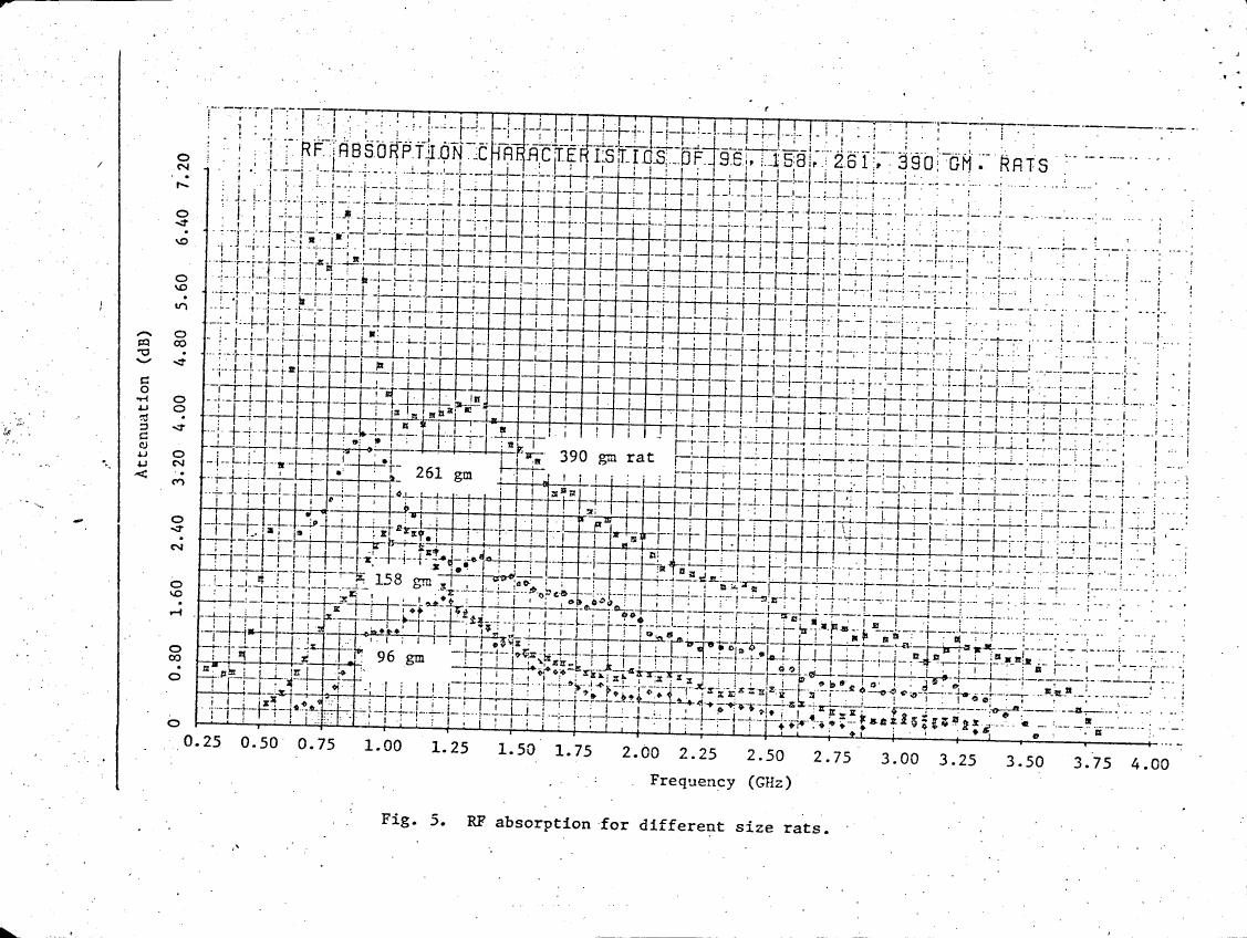 Fig. 5: RF absorption for different size rats.