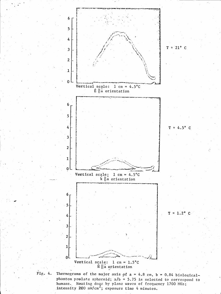 AI-described figure: Fig. 4: Thermograms showing temperature distribution across a biological phantom spheroid under different orientations and heating conditions.