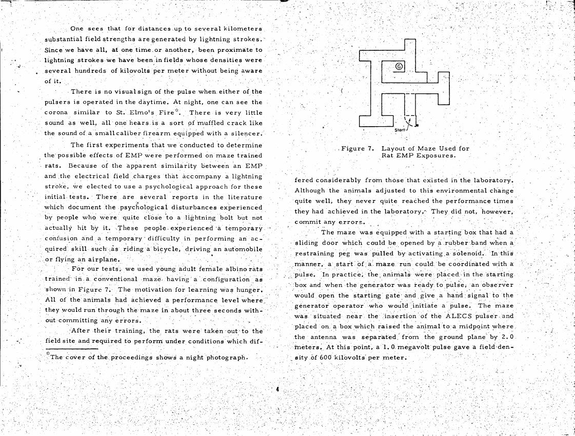 Figure 7. Layout of Maze Used for Rat EMP Exposures.