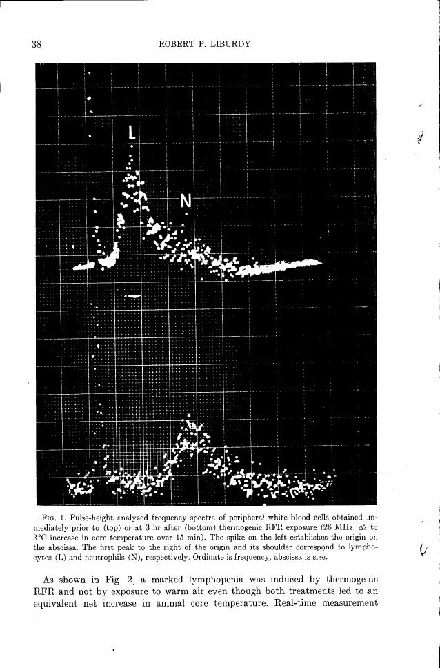 Fig. 1: Pulse-height analyzed frequency spectra of peripheral white blood cells obtained immediately prior to or at 3 hours after thermogenic RFR exposure.