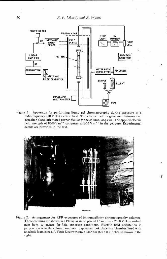Figure 1. Apparatus for performing liquid gel chromatography during exposure to a radiofrequency (10 MHz) electric field.