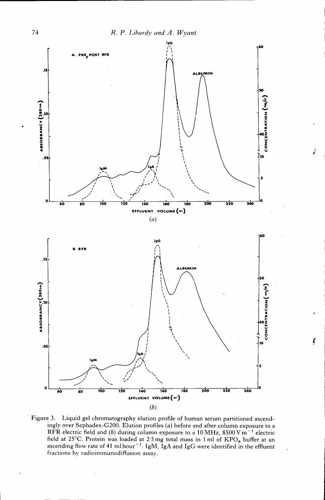 Figure 3. Liquid gel chromatography elution profile of human serum partitioned ascendingly over Sephadex-G200, showing absorbance and concentration profiles before and after exposure to a RFR electric field.