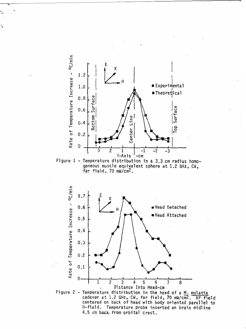 Figure 1: Temperature distribution in a 3.3 cm radius homogeneous muscle equivalent sphere at 1.2 GHz, CW, far field, 70 mW/cm².
