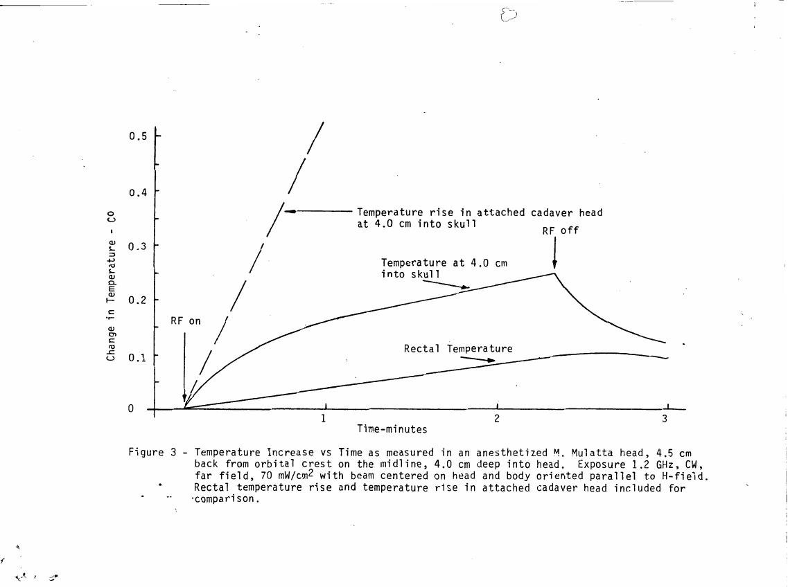 Figure 3 - Temperature Increase vs Time as measured in an anesthetized M. Mulatta head.