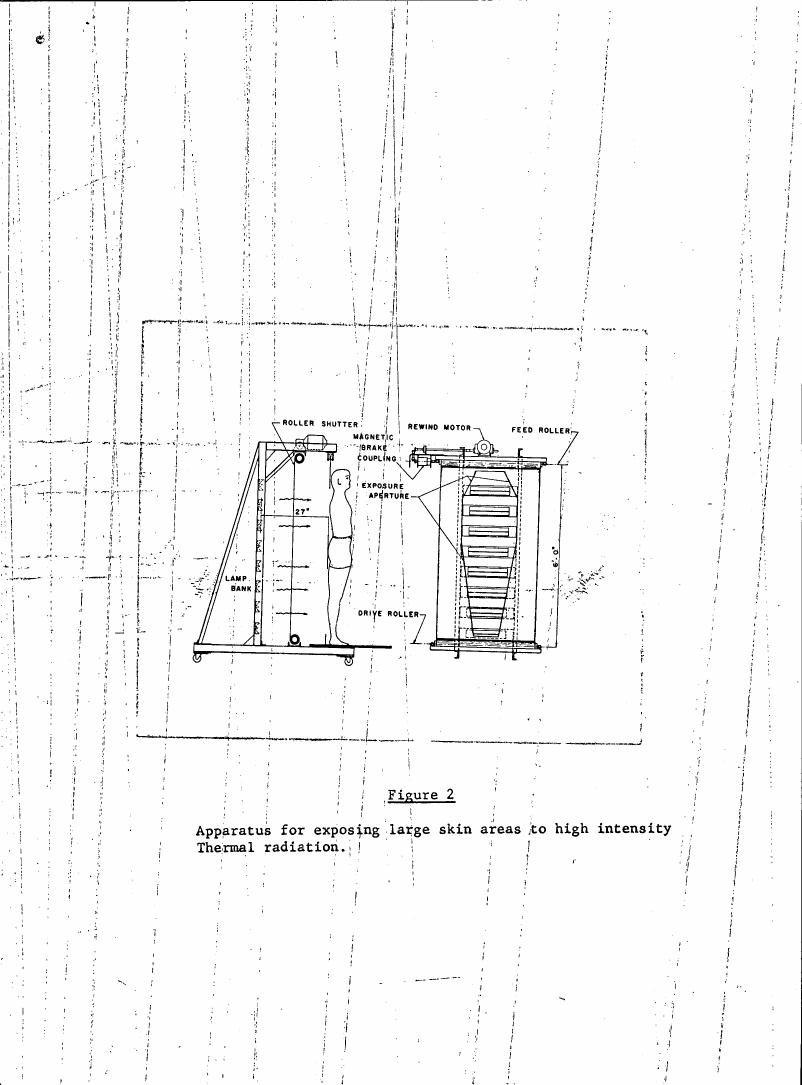 Figure 2: Apparatus for exposing large skin areas to high intensity Thermal radiation.