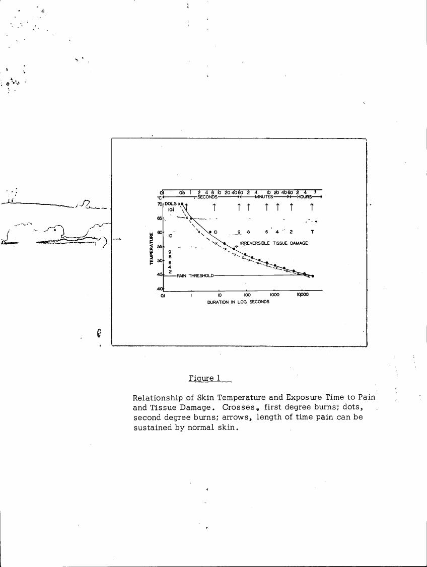 Figure 1: Relationship of Skin Temperature and Exposure Time to Pain and Tissue Damage. Crosses represent first-degree burns; dots represent second-degree burns; arrows indicate the length of time pain can be sustained by normal skin.